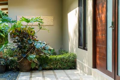 Ocean-View Wellness Estate in Costa Ballena with Luxury Rental Income image 3