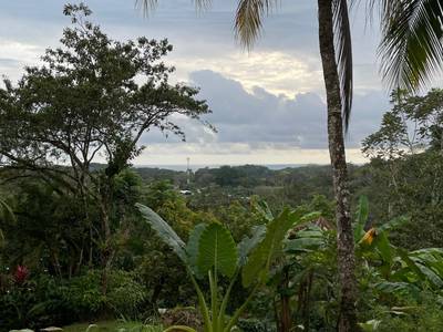 Turnkey Ocean View Jungle Villa on 2.3 Acres in Hatillo image 3