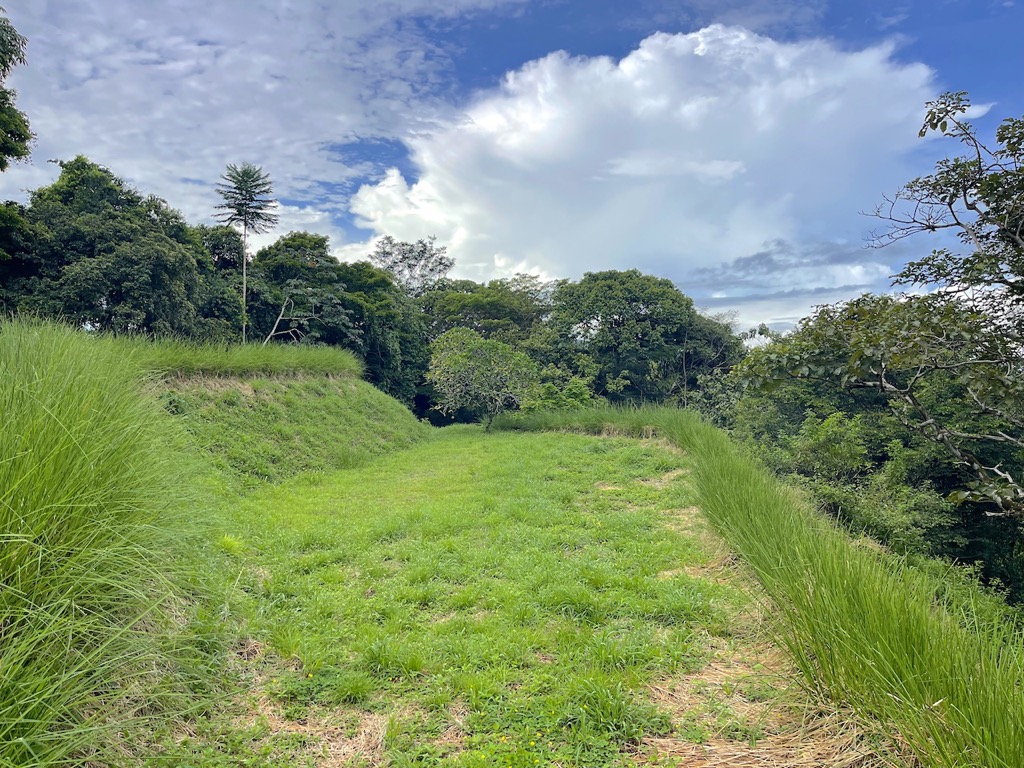 Spectacular Mountain & Ocean View Property in Cacao Ridge, Platanillo selected
