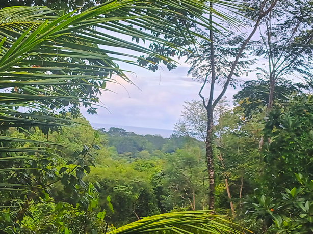 Multi-Home Income Estate Near Marino Ballena National Park selected