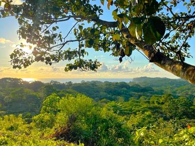 Two Ocean View Properties in Ojochal – 5.33 Acres of Pure Paradise image 4