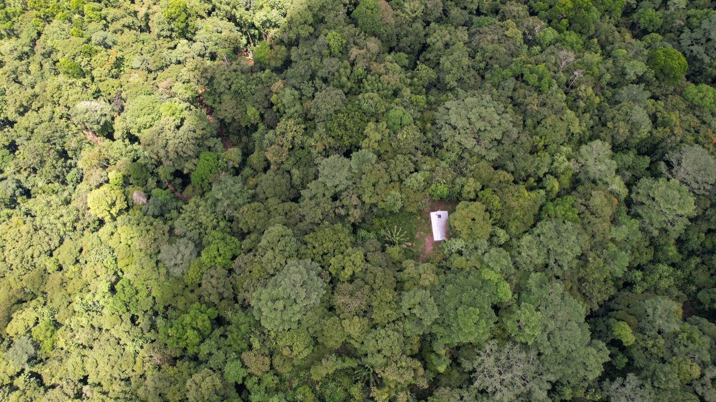 14-Acre Eco-Haven with Ocean View & Riverfront, Minutes from Beaches and National Park selected