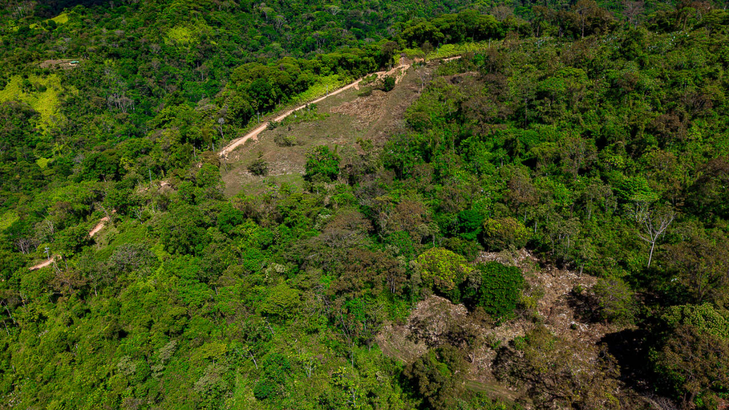 Whale Tail Views Luxury Waterfall Farm selected
