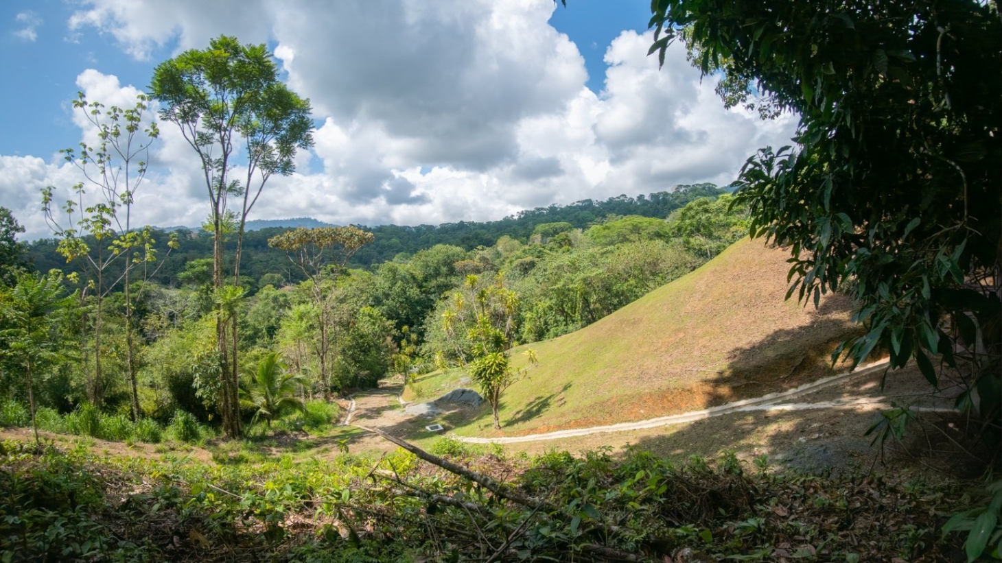 Tropical Sanctuary Above Uvita: 5-Acre Jungle Estate with incredible Mountain Views selected