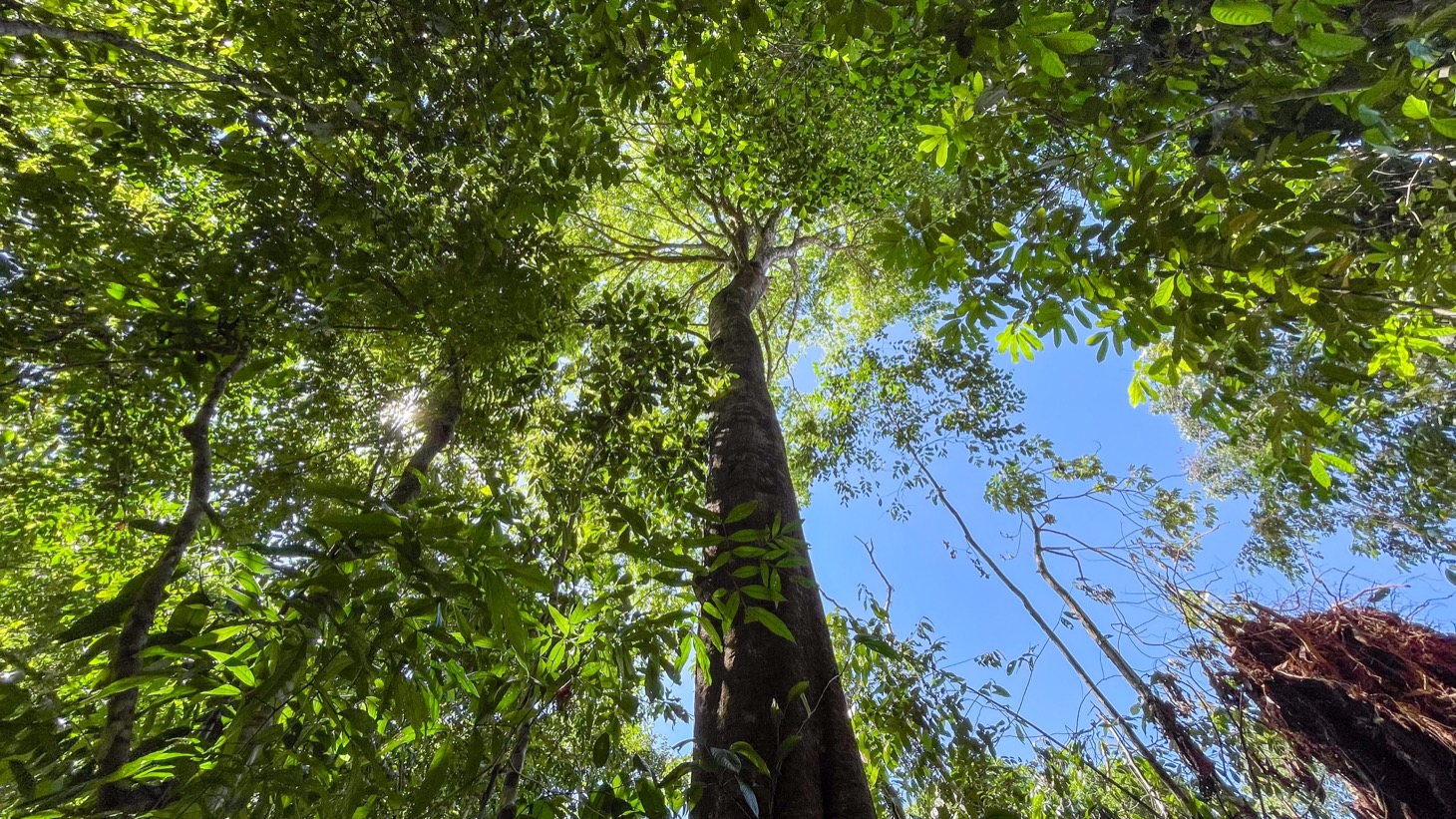 1.3-Acre Mountain View Land with 3 Building Sites in Uvita selected