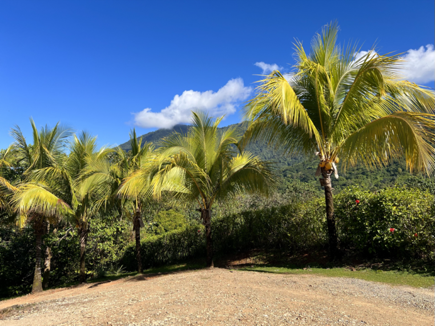 Peaceful Two-Bedroom Home in an Intimate Shared Estate selected