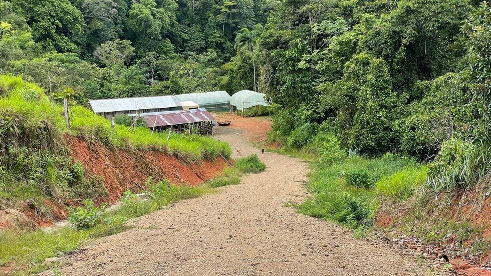 145 Acres With Swimming Holes, Waterfalls And Ocean Views selected