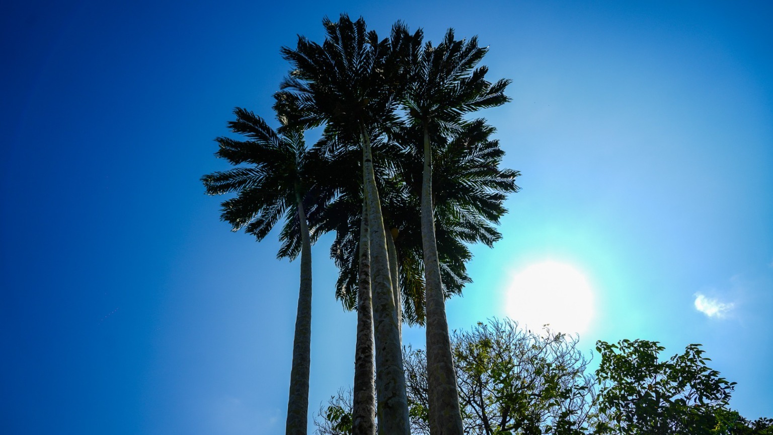 Modern 2-Bedroom Home for Sale in Ojochal, Costa Ballena selected