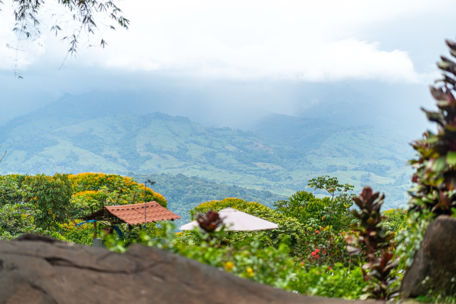 Boutique Jungle Retreat with Panoramic Mountain Views in the Hills of Lagunas selected