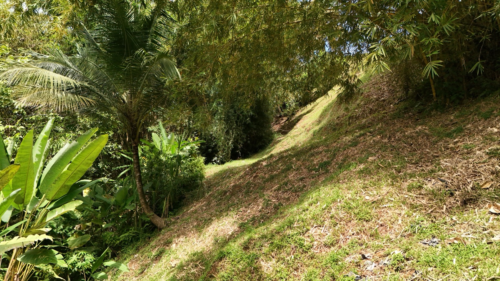 Expansive Oceanview Estate Lot in Uvita selected