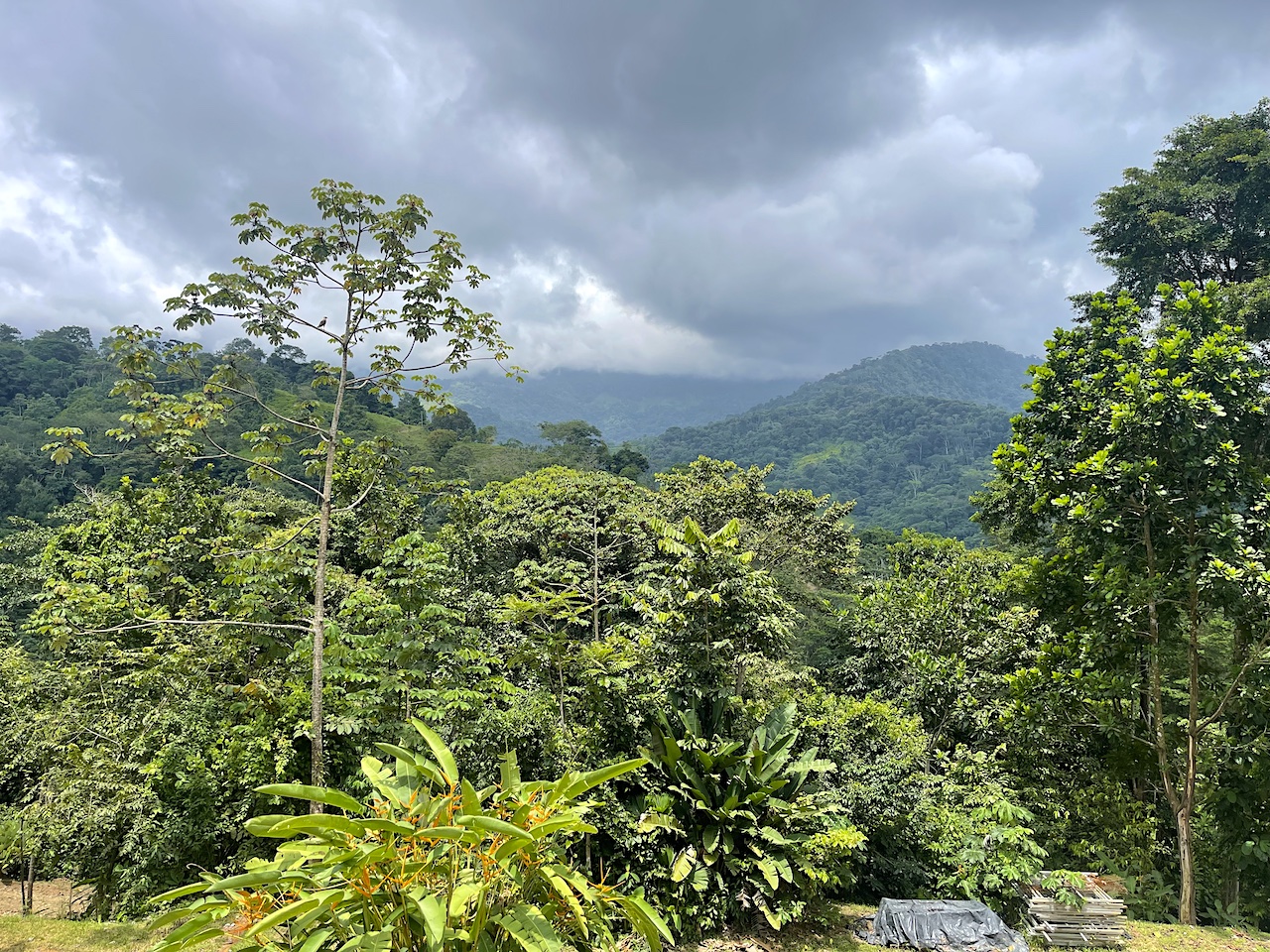 Rare 25+ Acre Opportunity in Uvita selected