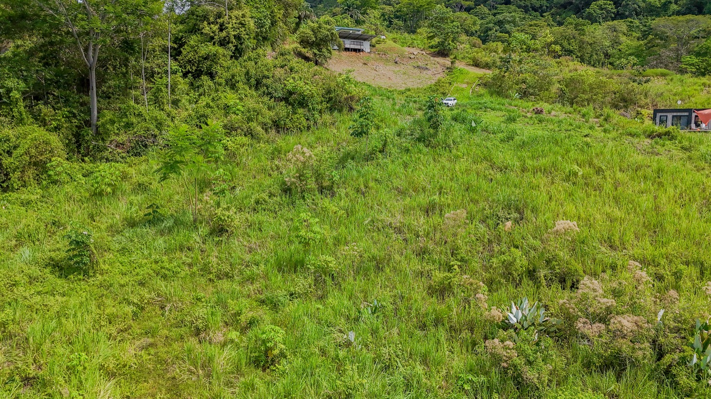 image-selected