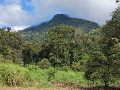 Caracara Ridge Lot #11 – Private Mountain View Homesite in Ojochal’s Premier Conservation Community image 1