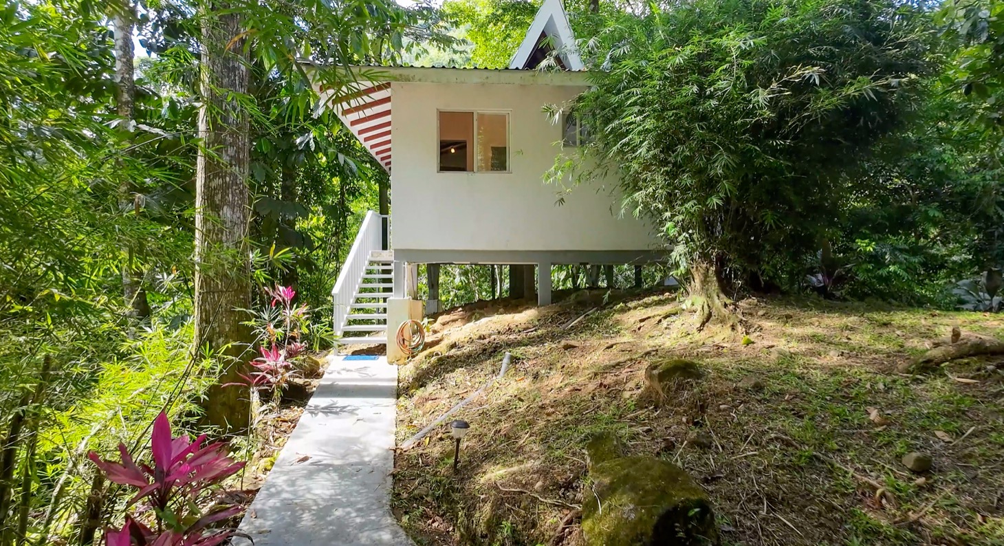 Nature Retreat Estate – Southern Pacific Zone, Costa Rica selected