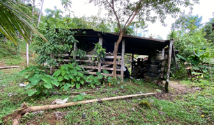 2.9 ACRES – Tons of Fruit Trees, 3 Bedroom Tico Home Plus Bodega In Tinamastes selected