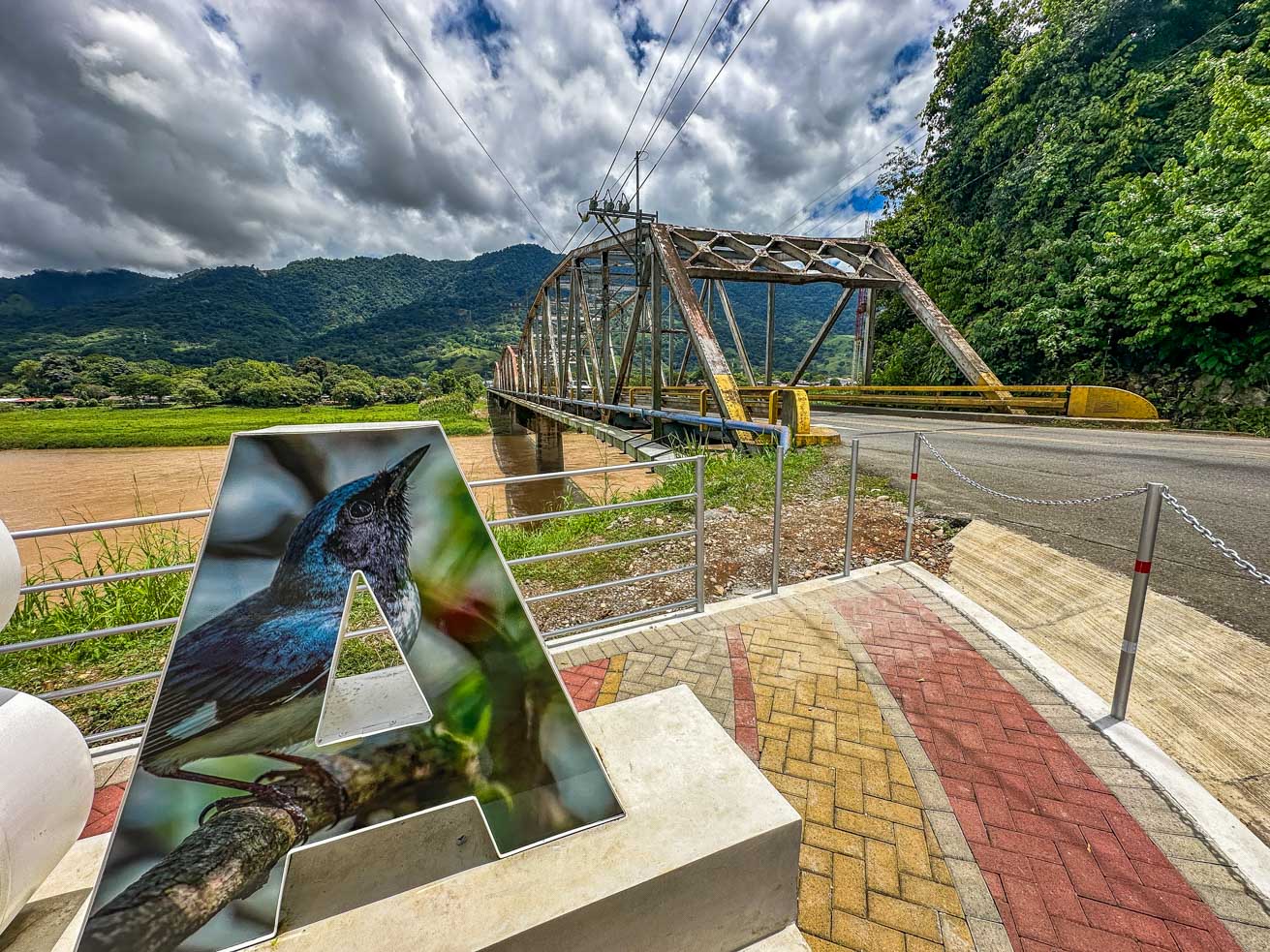 3.7-Acre Airport-Adjacent Property with Direct Runway Access, Prime Zoning, and Mountain Views selected