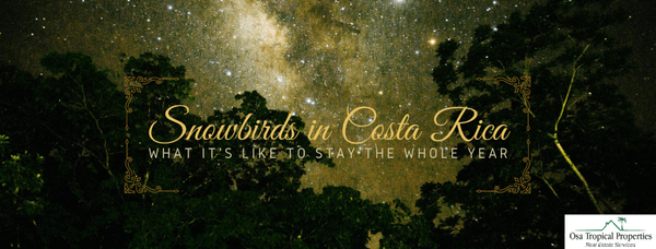 Beyond Snowbirds in Costa Rica