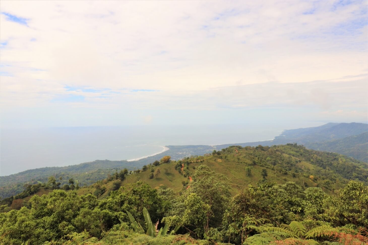 3 Spectacular Ocean View Farms in Uvita selected