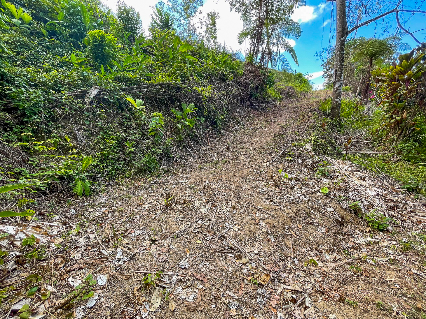 Excellent Dream Home Or Mini-Development Opportunity: 2.2-Acre Ocean View Property in Ojochal, Costa Rica selected