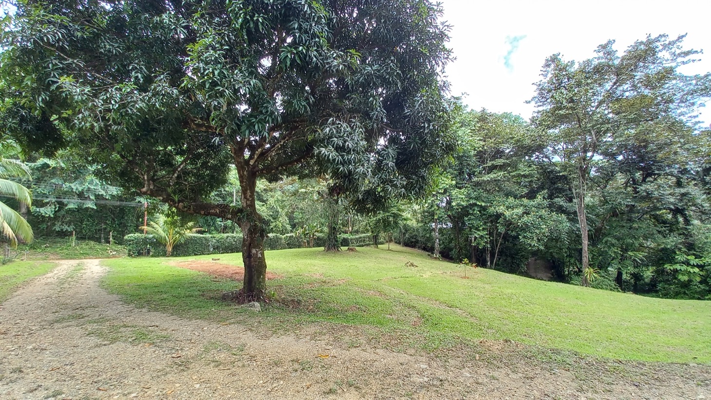 1.8 Acre All Usable Land with Pocket Ocean View Ripe for Development selected