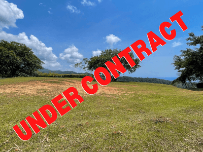 Private & Ready to Build Ocean View Land for Sale in Uvita, Costa Rica  image 1