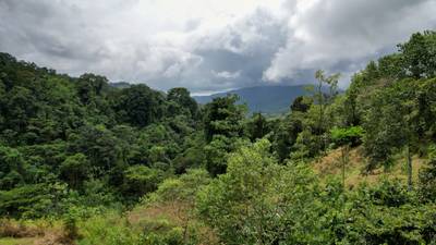 Secluded 4.5-Hectare Riverfront Oasis Near Hatillo & Dominical – Dos Bocas, Costa Rica image 5