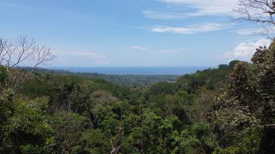 Ocean View Estate Lot with Private Waterfall – Uvita image 3