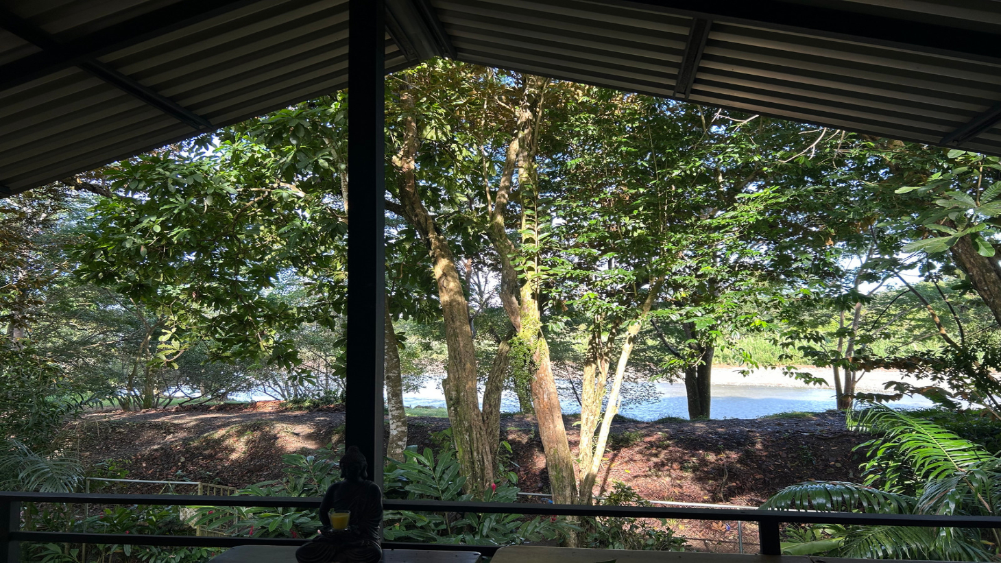 0.23 ACRES – Multi-Business Property In The Heart Of Dominical – Restaurant, 4 Cabins & Commercial Rental selected