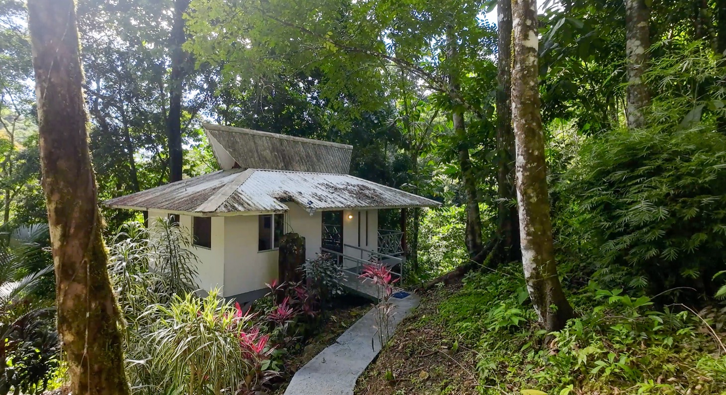 Nature Retreat Estate – Southern Pacific Zone, Costa Rica selected