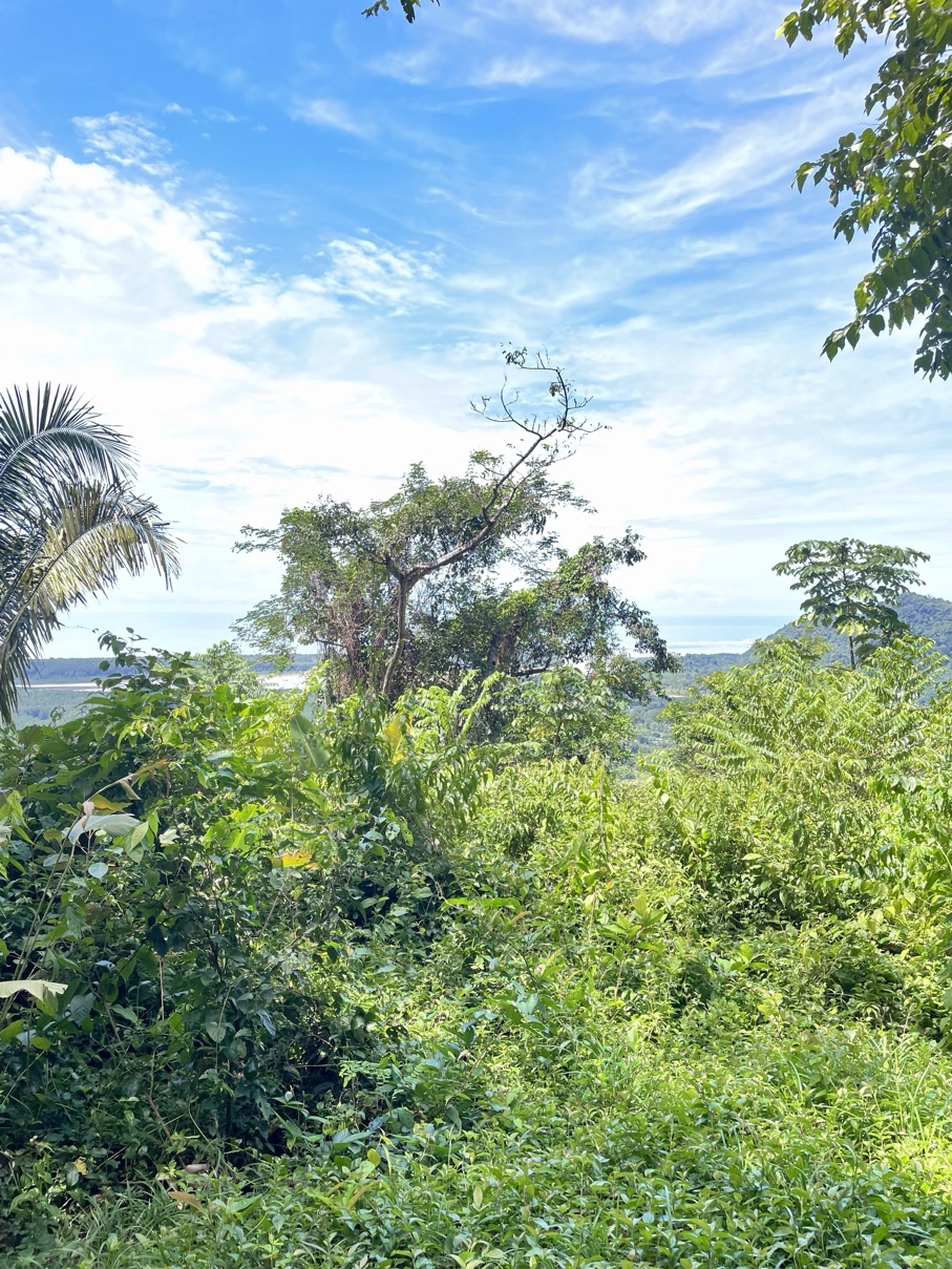 61.78 Acres of Oceanview Bliss with Private Waterfall in Tres Rios selected