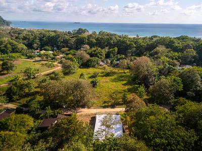 Stunning 3-Bedroom, 2.5-Bathroom Tropical Mid-Century Modern Home – Steps from the Beach image 2
