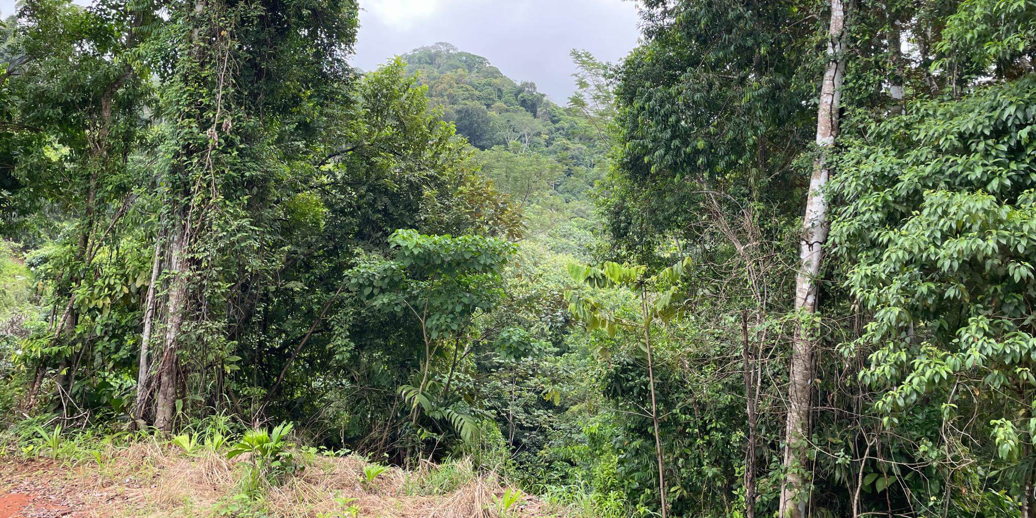 Mountain View Bargain Lot In Costa Azul, Tres Rios