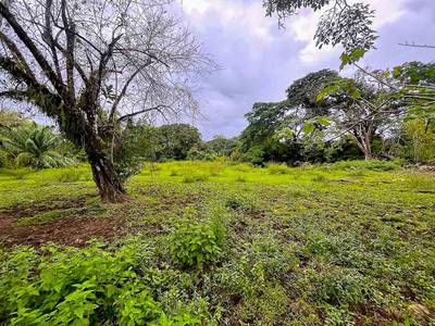 Rare Titled Beachside Development Opportunity Steps from Playa Chaman image 1