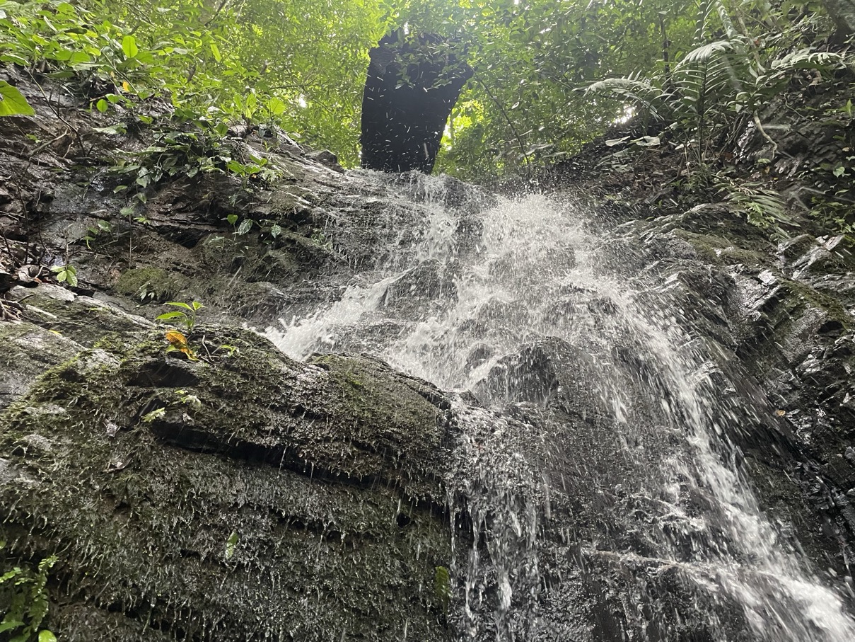 61.78 Acres of Oceanview Bliss with Private Waterfall in Tres Rios selected