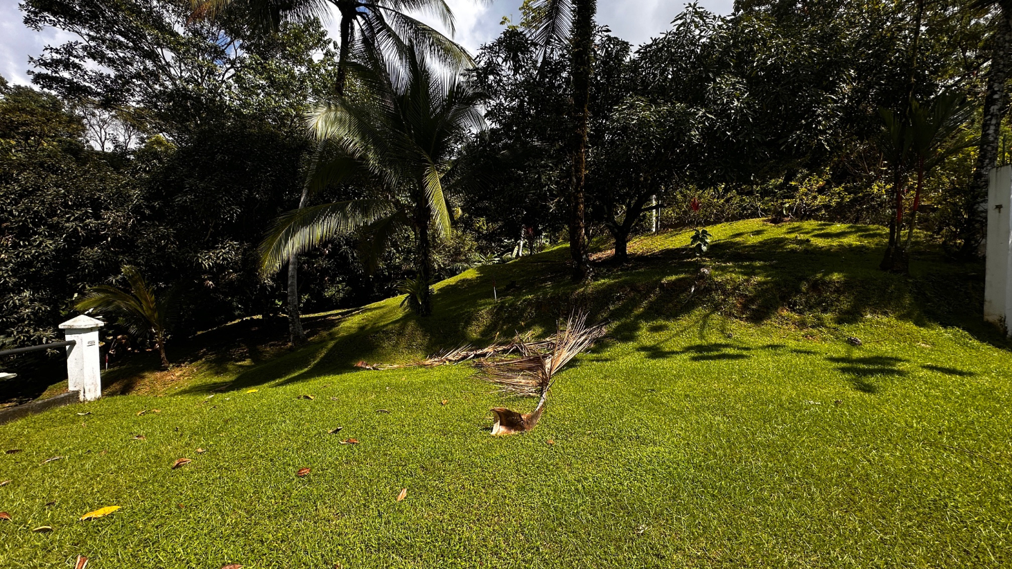 Development Parcel Central Uvita with River! selected