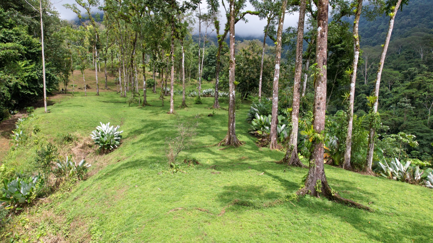 Secluded 4.5-Hectare Riverfront Oasis Near Hatillo & Dominical – Dos Bocas, Costa Rica selected