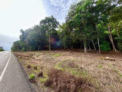 Prime Lots for Sale in Tawal, Osa – Excellent Location Near Cortes and Ojochal image 5