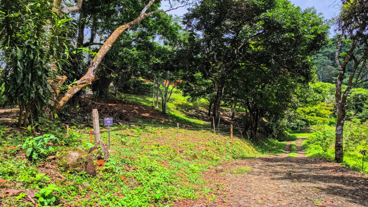 Expansive Ocean View Lot for Sale in Cinco Ventanas, Ojochal selected