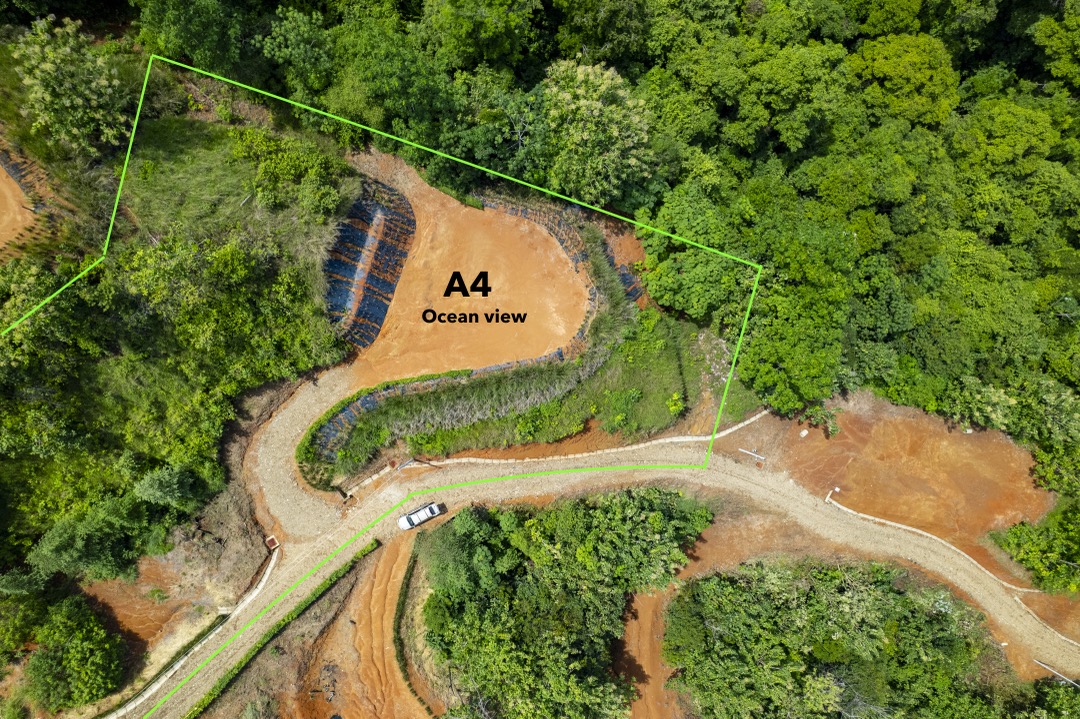 Tulpa Ridge – New Gated Ocean View Community in Matapalo selected