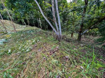 Exquisite Private Lot Bordering River with Mountain View in Ojochal, Phase 10 image 4