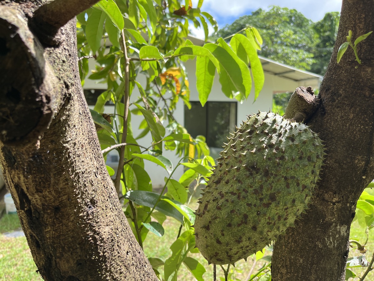 Charming Mountain Retreat in Vergel de Osa – Minutes from Ojochal, Beaches, and Waterfalls selected