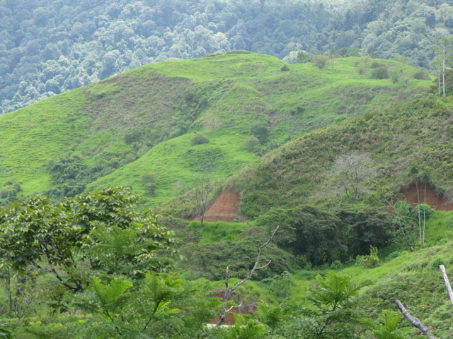 Exclusive Two-Lot Oasis in Gated Paradise – Build Your Dream Estate selected