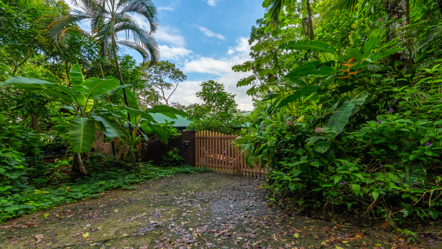 Where the Journey Begins | Private Jungle Estate at Nauyaca Waterfalls selected