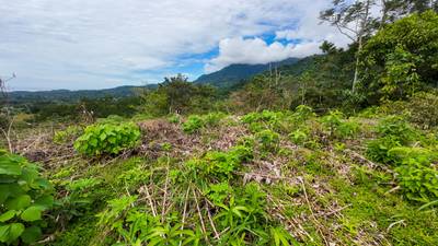 Prime Ocean View Lot in Ojochal – Your Costa Rican Dream Awaits image 4
