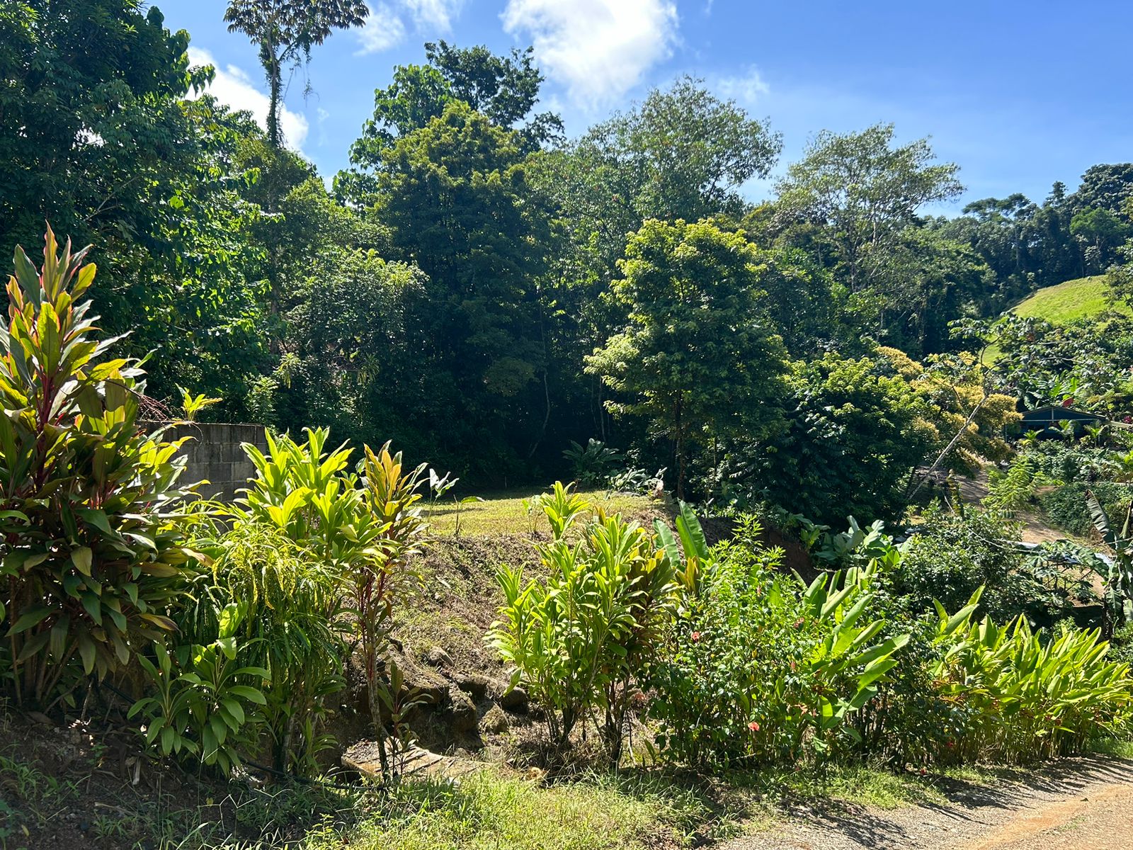 Prime 0.8-Acre Parcel in Uvita: Ideal for Your Dream Coastal Home selected