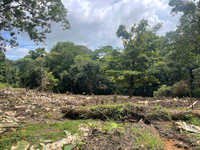 3.5 Acres with River Frontage in Tres Ríos image 4