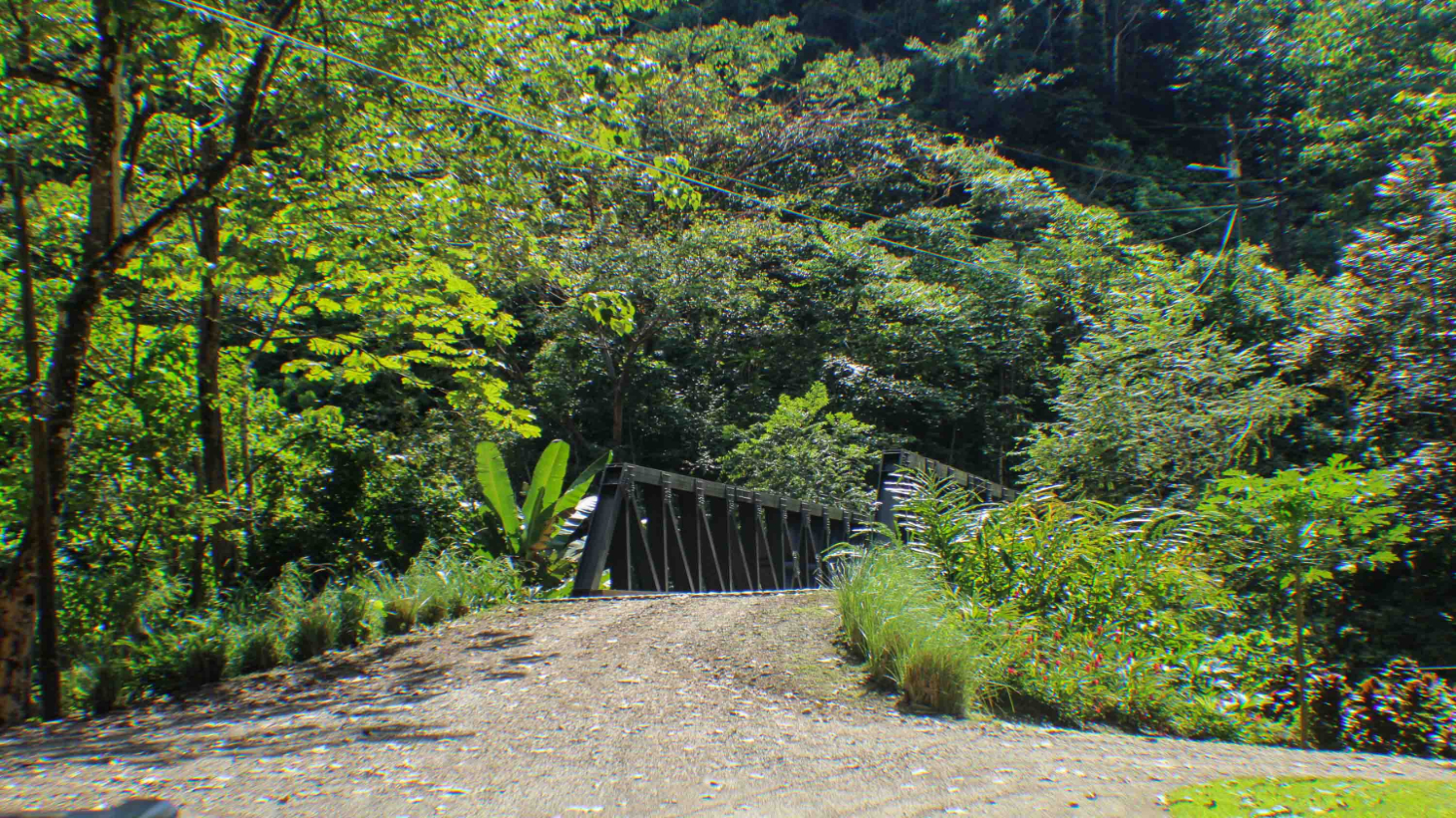 Waterfall Home in Private Community Affordable Jungle Home selected