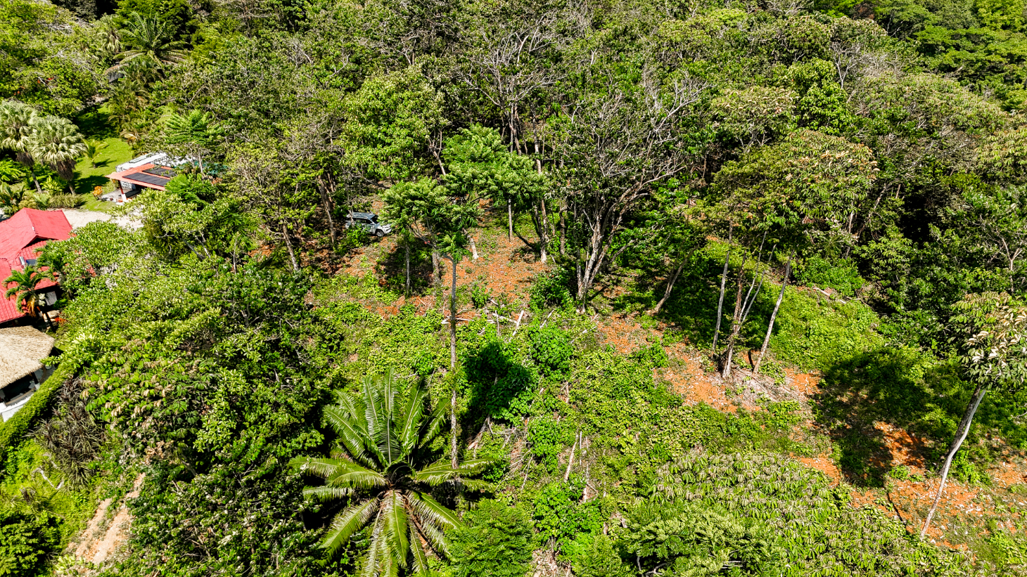5.75 Acre Land for Sale in Ojochal | Ocean View Development Property selected