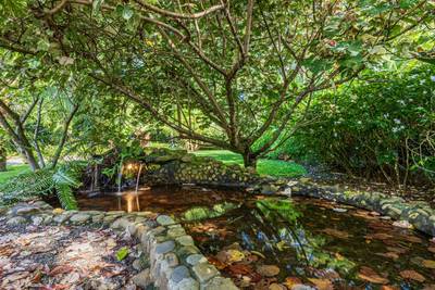 Modern 5-Bedroom Riverfront Home Walking Distance to Dominical image 5