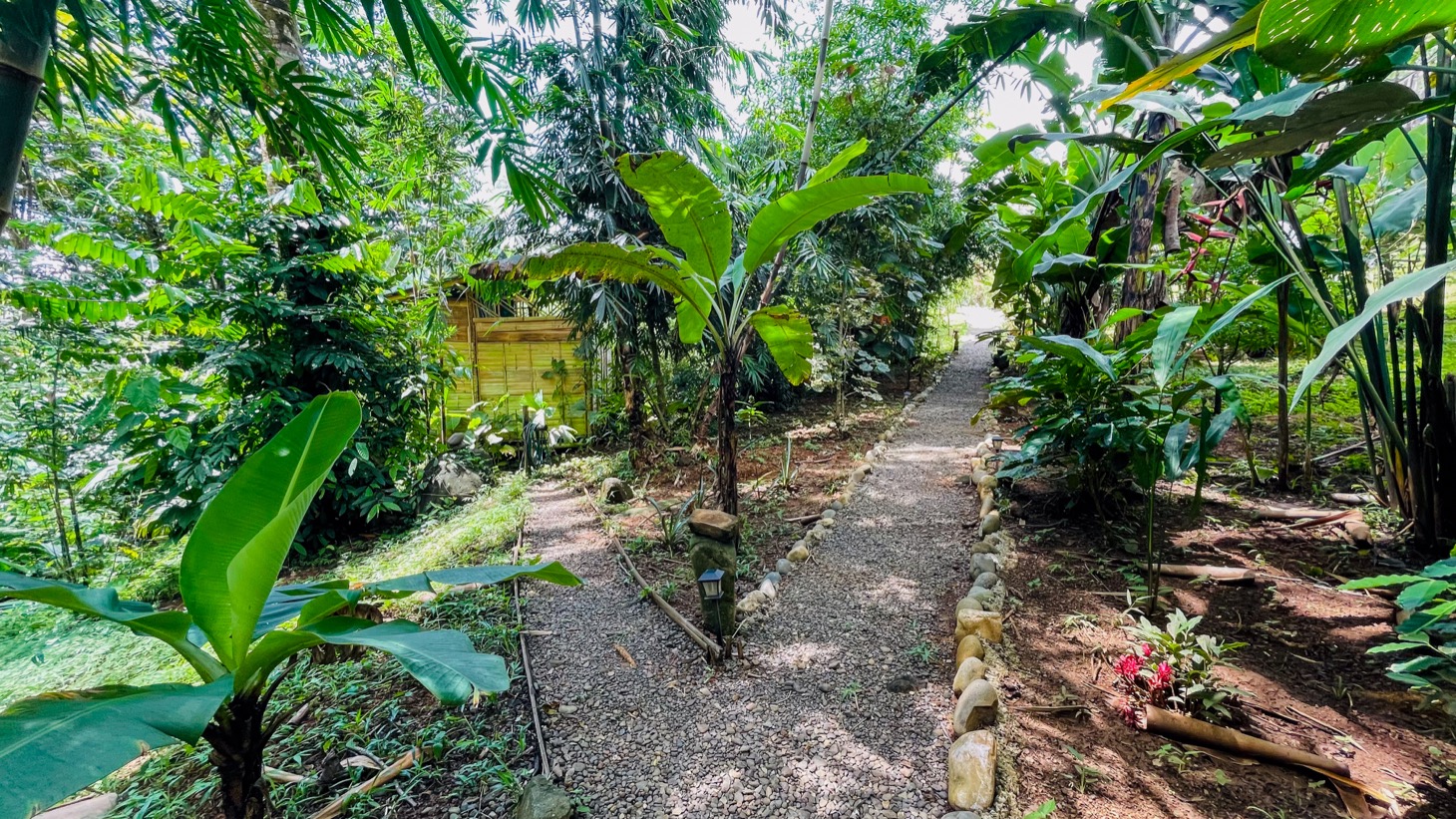 Tropical Retreat in Ojochal with Ocean Views, Private Waterfall & Expansion Potential selected